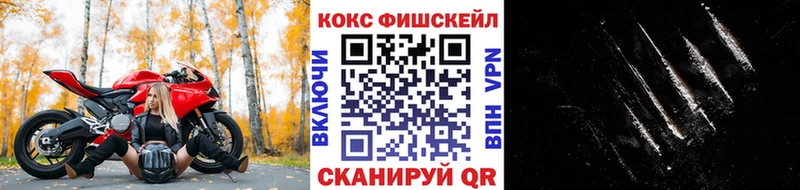 Cocaine 99% как найти наркотики Краснозаводск