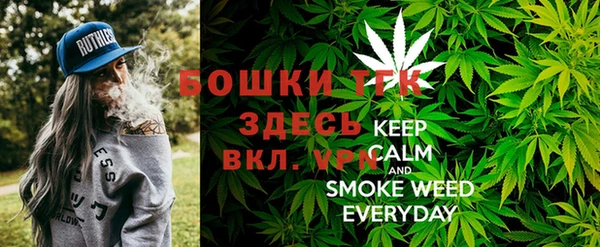 ALPHA-PVP Инсар