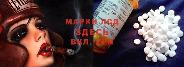 прущие грибы Каменногорск