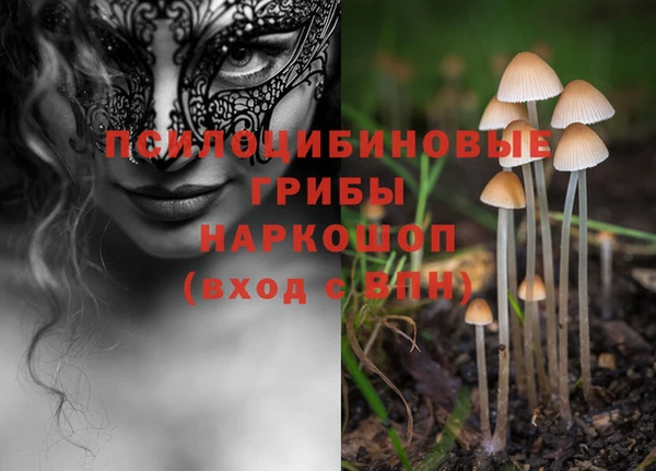 ALPHA-PVP Инсар