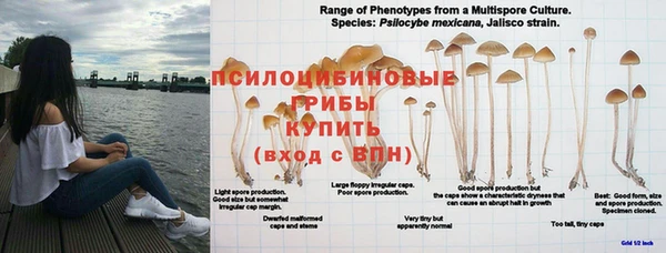 spice Иннополис