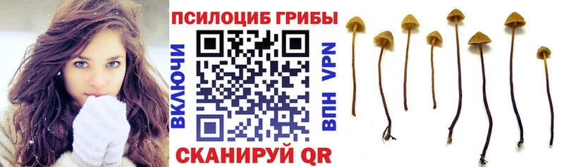 omg ONION  Краснозаводск  Галлюциногенные грибы ЛСД 