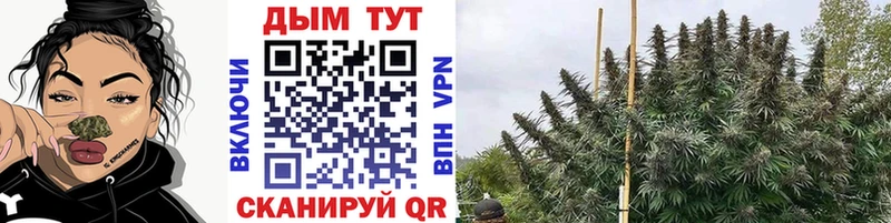 Конопля конопля  Краснозаводск 